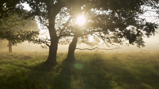 СЛУШАЙ ЭТО КАЖДОЕ УТРО/Аффирмации на успех и процветание смотреть онлайн