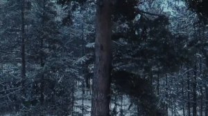 Креативное приглашение на свадьбу