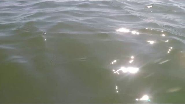 Затока. Июль 2021. МОРЕ Чистое БЕЗ МЕДУЗ И БЛОХ? смотреть онлайн