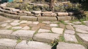 Сочи скверик у ресторана Руставели...