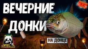 РР4/ рыбалка для души, ловим как универсал, общаемся 25.11.23
