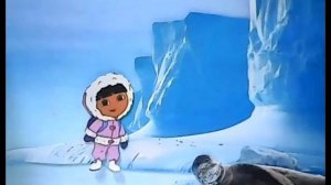 Как животные приспособились к жизни в Антарктиде