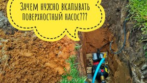 Абиссинка в низких статиках. Зачем вкапывать поверхностный насос.