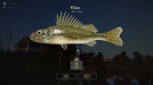 Русская Рыбалка 4 Ерш и Линь оз.Комариное