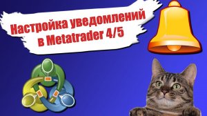 Уведомления в MT4 и MT5 - настройка