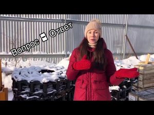 Что такое цевка?