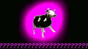 Polish Cow Memes: But It Sounds Good in 48 Seconds