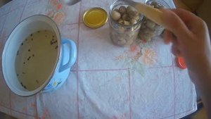 маринованные шампиньоны на зиму/заготовки на зиму