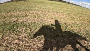 В погоне за тенью.