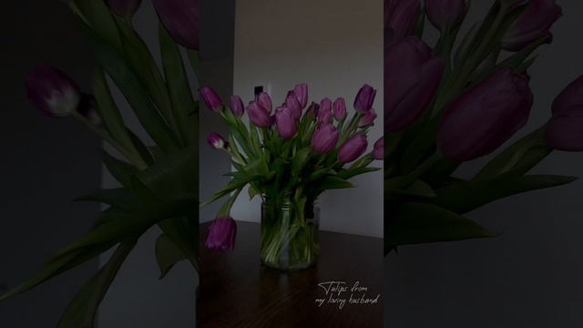 Tulips from My Loving Husband | Тюльпаны от Моего Любимого Мужа | Наша Жизнь в Штатах