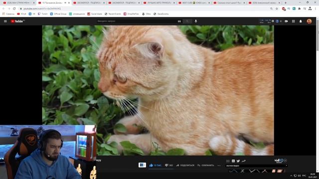 HARD PLAY СМОТРИТ 10 ПРИЗРАКОВ ДОМАШНИХ ЖИВОТНЫХ. МИСТИКА И УЖАСЫ 2021. ЗОМБИ ЧЕЗ смотреть онлайн