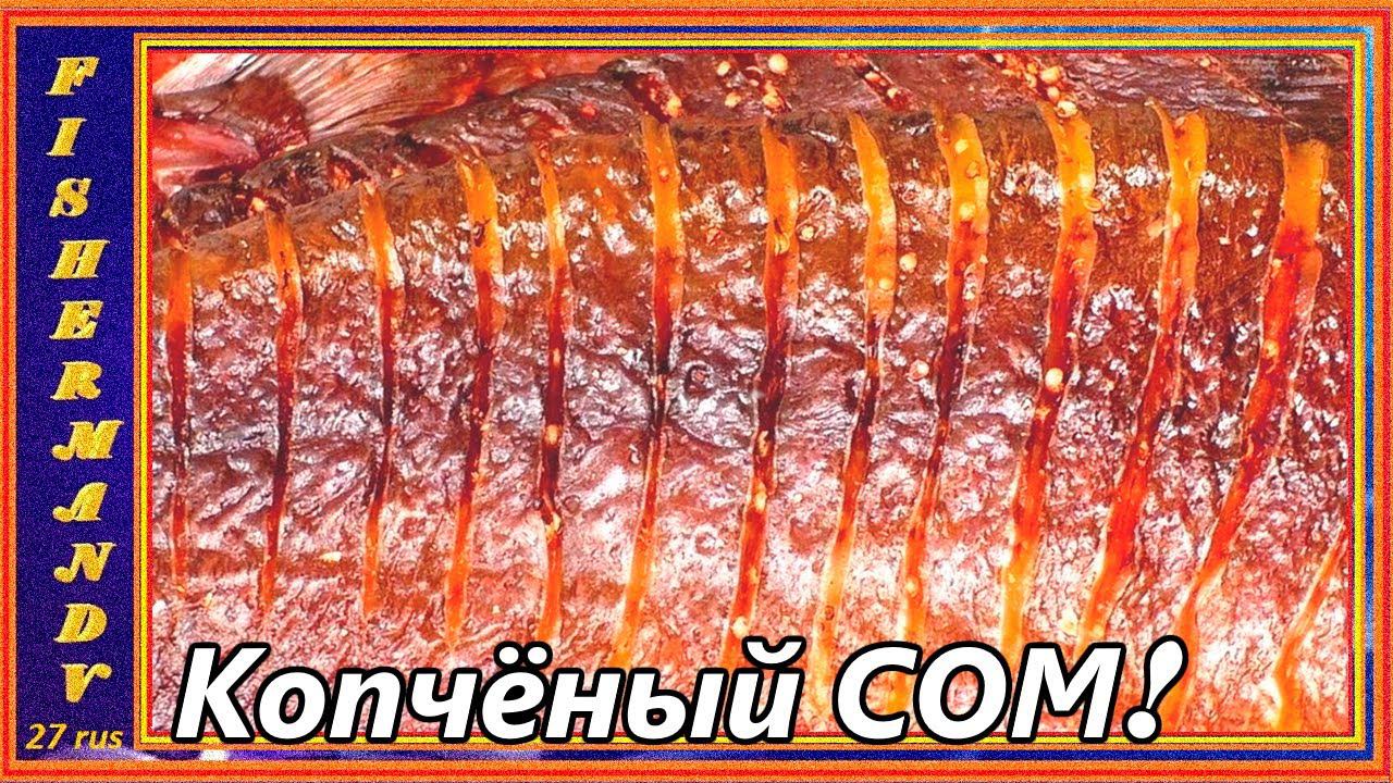 Копчёный сом, холодное копчение, сом вкуснее осетрины! рецепты из рыбы от fisherman dv.27rus,