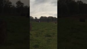 Орсис 120 и стрельба на сто метров патронами БПЗ