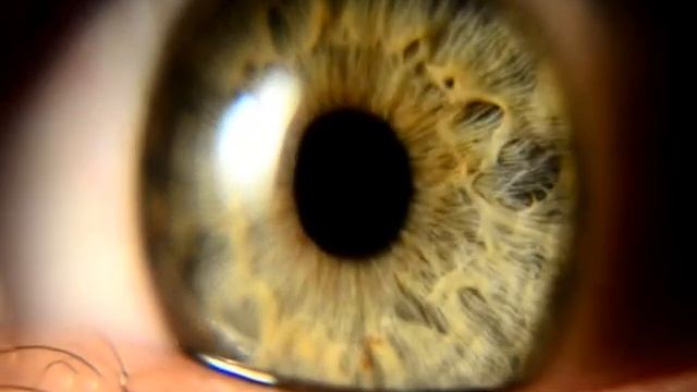 Eye_Beat (Nikon D5100) смотреть онлайн