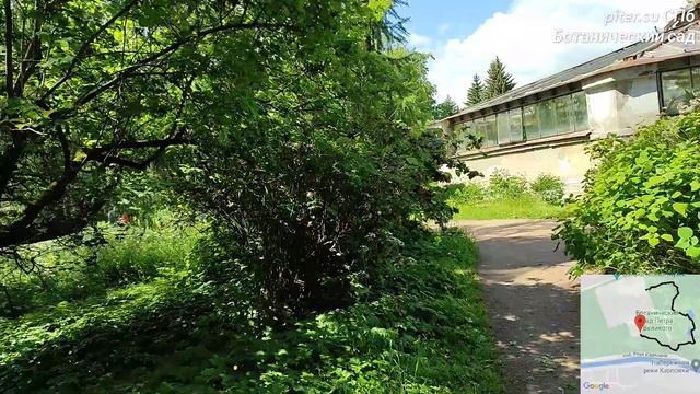 Ботанический сад Петра Великого Петроградский район СПб #ботаническийсад #botanicalgarden piter.su
