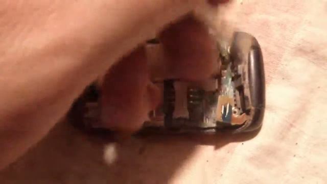 сотик из говна с муз смотреть онлайн