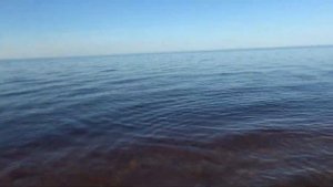 На берегу Ильменя. Немецкое военное захоронение.