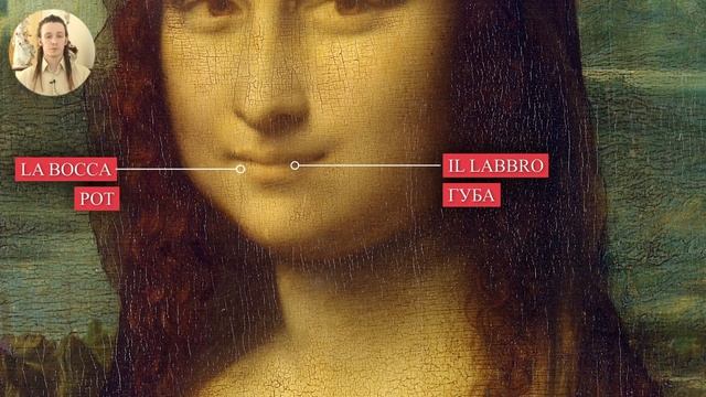 части тела на итальянском языке. Итальянский язык для начинающих. Итальянский с нуля