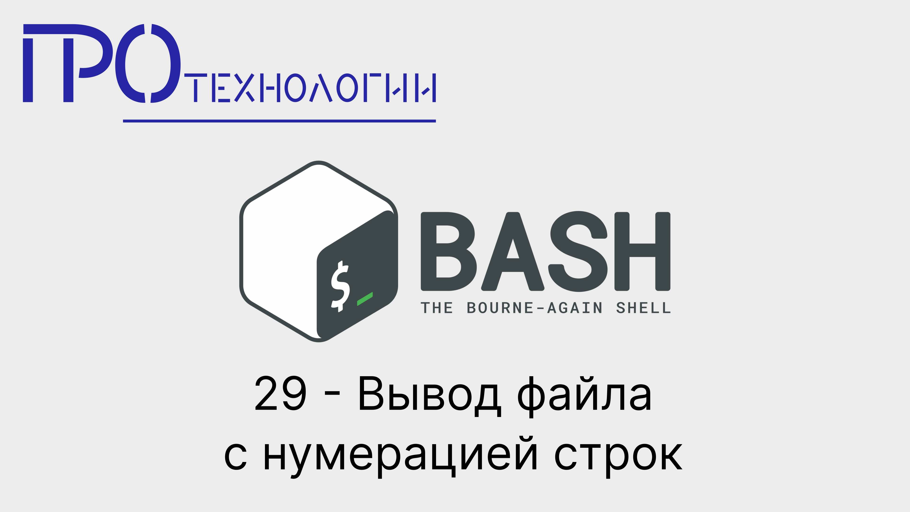 29 Bash - Вывод файла с нумерацией строк