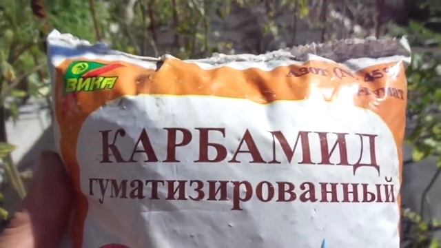 ЧТО ТАКОЕ МОЧЕВИНА? Ольга Чернова.