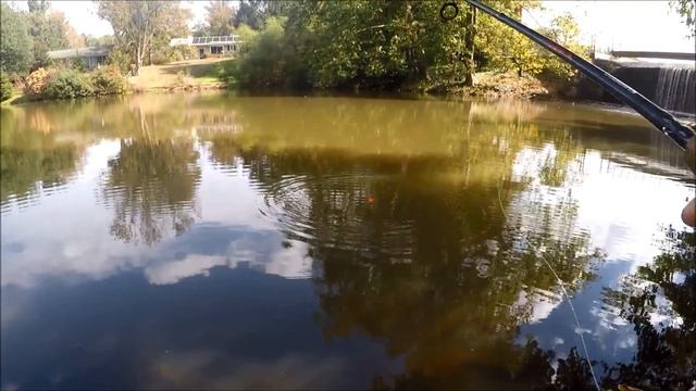 Surprising results fishing with Berkley Gulp PowerBait and Trout Magnet