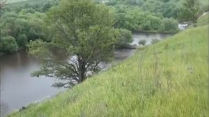 Городище Ишутино.flv