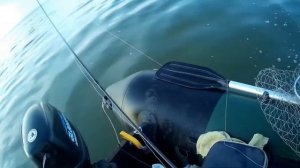 Ловим судака и окуня на Обском водохранилище. Начало лодочного сезона.