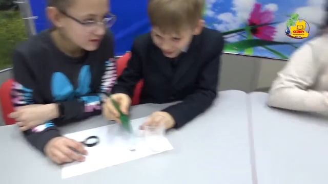 "Вода жесткая и мягкая". Объединение "Умназия". Экологический практикум. смотреть онлайн