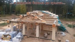 Изготовление сруба бани из бревна.  Фотоотчет.