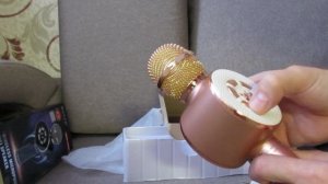 Микрофон WSTER WS-669(осмотр)