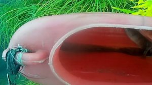 Осенняя рыбалка \ Часть 2 \ Подъём воды на Печоре \ и немного окушариков