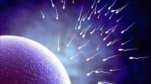 МОЛИТВА О СВЯТОМ ЗАЧАТИИ И ЗДОРОВОМ РОЖДЕНИИ #НаянаБелосвет