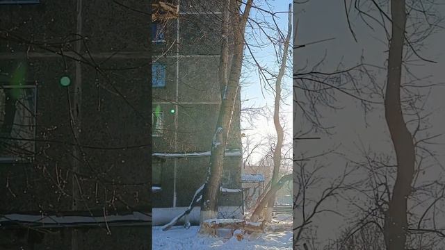 зима ты где? пришла весна