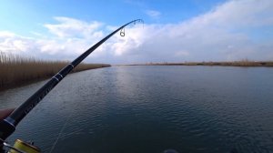 Рыбалка с приключениями на Веселовском водохранилище. Река Маныч выручает.