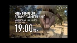 Анонсы и рекламный блок (Моя планета, 29.02.2016)
