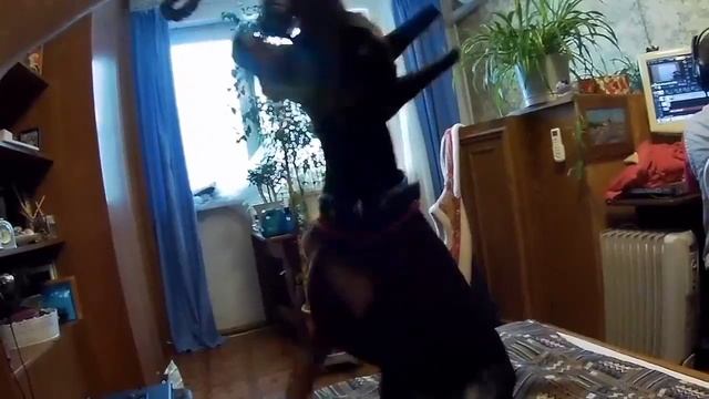 Молочные зубки. смотреть онлайн