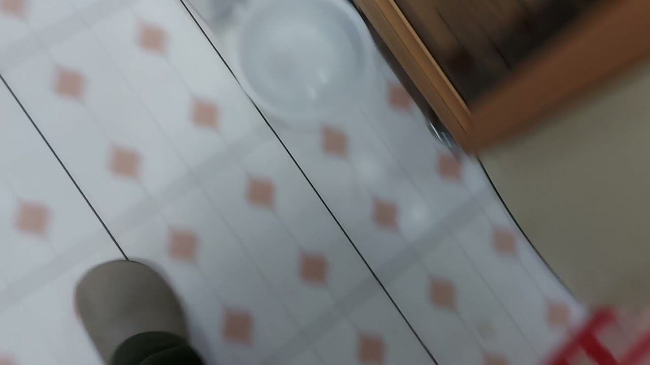 Ташкент. #спасениесобак #приютдлясобак