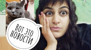 СРОЧНЫЕ НОВОСТИ, Я В ШОКЕ, ОКАЗАЛОСЬ ЧТО КОТ,  ВОВСЕ НЕ КОТ