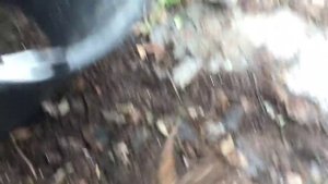 Бесплатные удобрения. ч.3. Компост в мешках.
