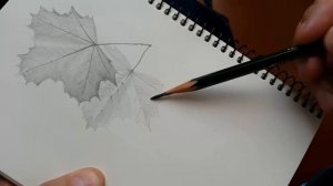 Как нарисовать ЛИСТ клена КАРАНДАШОМ! Учимся рисовать Лист КЛЕНА Карандашом! Как Научиться РИСОВАТ