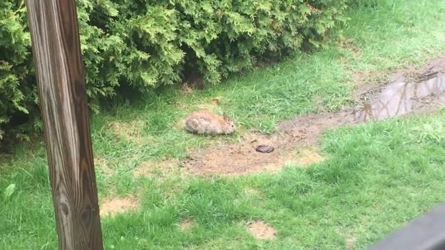 Top 5 Wednesday | Fab Authors смотреть онлайн