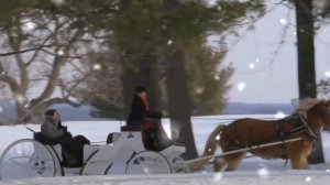 Потолок Ледяной - Эдуард Хиль |НОВОГОДНЯЯ ПЕСНЯ | Зима (cover song)