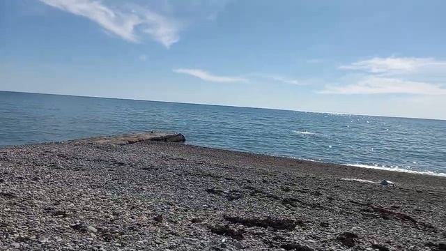 #наморе бывают и #чайки и #альбатрос