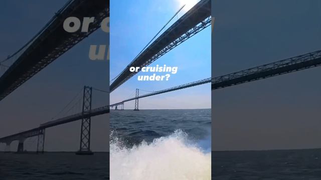 Pick your route.. over or under the bridge? 🤔#boatride #boating  #baybridge