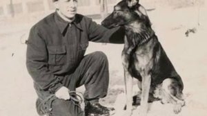 Самые известные животные в истории России