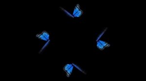 Holograms: jellyfish, butterfly, fireworks, bird