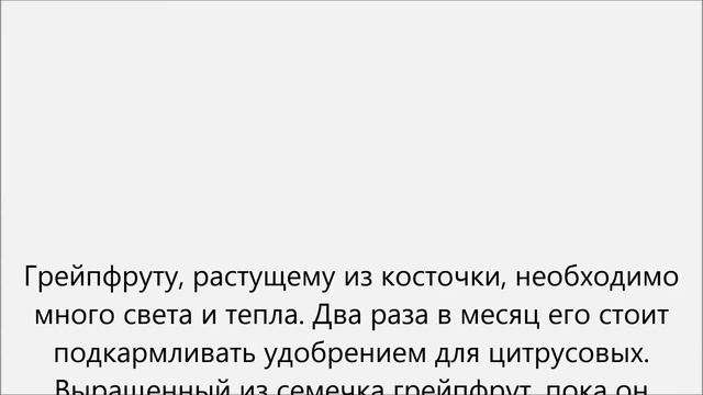 Как вырастить грейпфрут смотреть онлайн