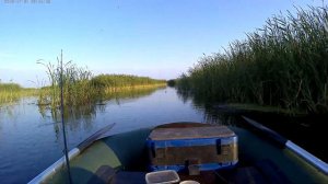 Рыбалка на Ишиме 21.07.2019