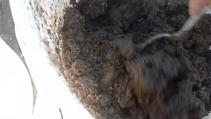 НУЖНО ЛИ ЗАПАРИВАТЬ КОМБИКОРМ И В КАКОЙ ВОДЕ