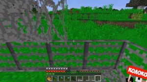 СУПЕР НЛО СКИБИДИ ТУАЛЕТ НАПАЛ НА ЗАЩИЩЕННЫЙ ДОМ НУБА ПРО И ДЕВУШКИ МАЙНКРАФТ! ЕНОТИК